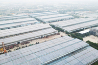 مبنای تولید comperhent (چین جنوبی)