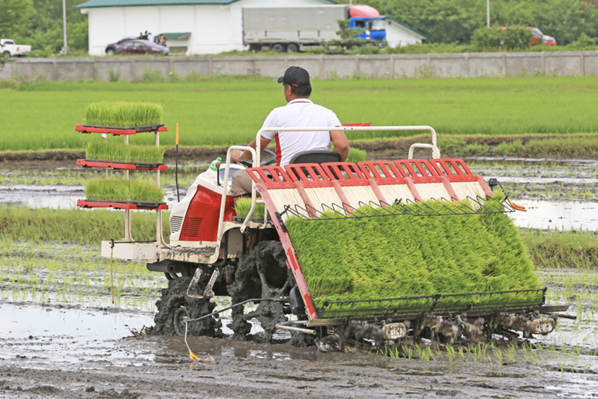 Race Transplanter Series.jpg